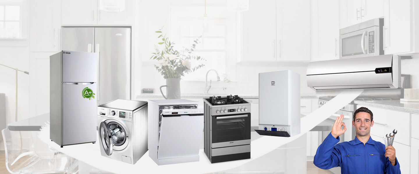 Seyhan Electrolux Servisi
